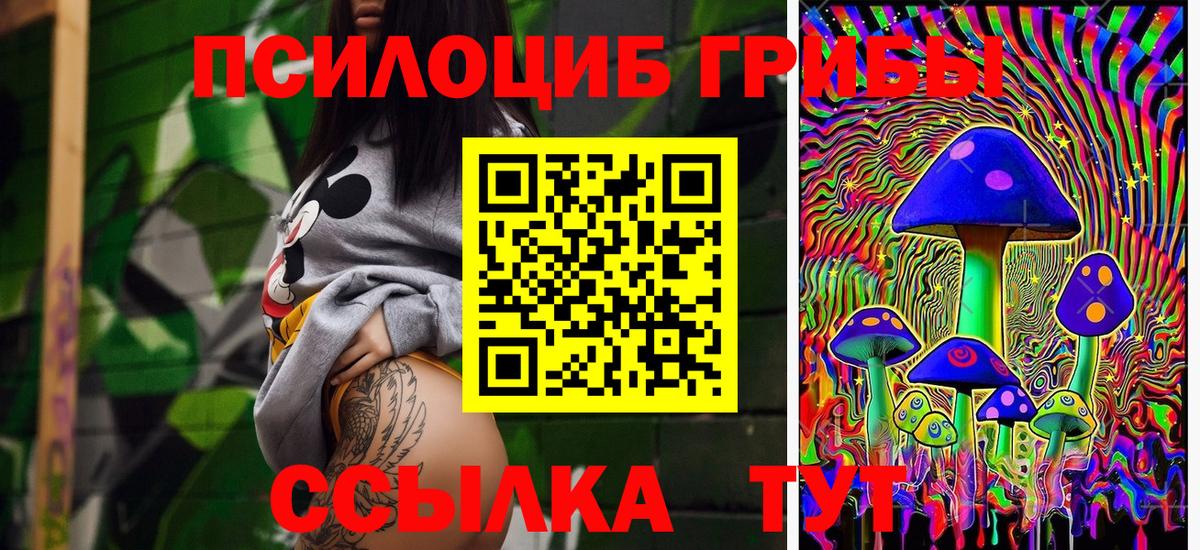 хочу   Вход с VPN  Приморско-Ахтарск  Псилоцибиновые грибы Psilocybine cubensis 