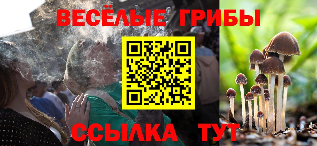 Галлюциногенные грибы мицелий Приморско-Ахтарск
